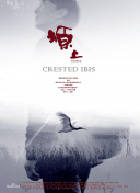 幻影魔女：必备的装备与道具推荐